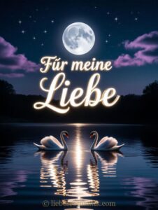 Zwei Schwäne schwimmen auf ruhigem See unter sternenklarem Himmel. Leuchtender Schriftzug „Für meine Liebe“.