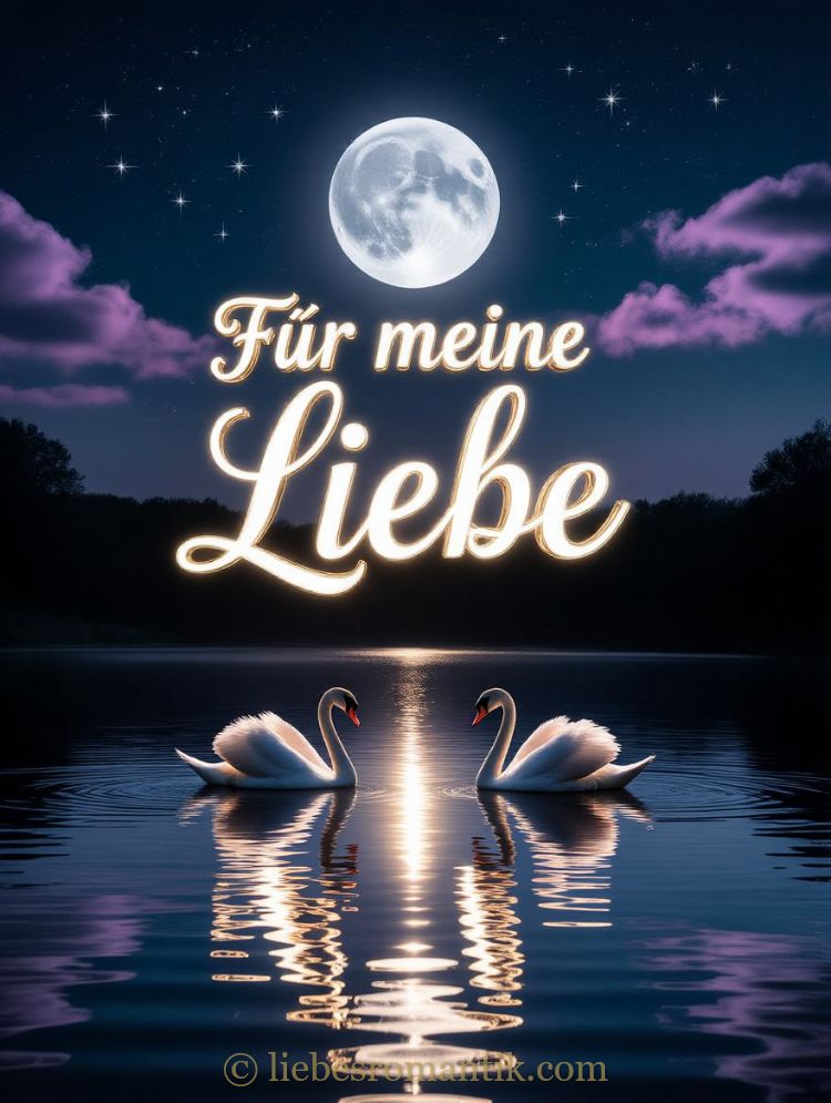 Zwei Schwäne schwimmen auf ruhigem See unter sternenklarem Himmel. Leuchtender Schriftzug „Für meine Liebe“.